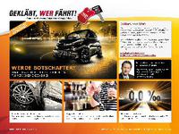 Projektdetails 'http://www.geklaert-wer-faehrt.de'