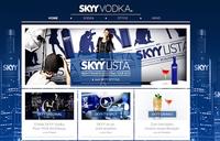 Projektdetails 'http://www.skyy.de'