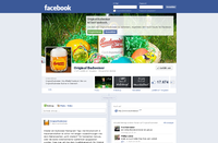 Projektdetails 'http://de-de.facebook.com/OriginalBudweiser'