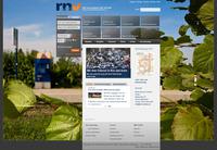 Projektdetails 'http://www.rnv-online.de/'