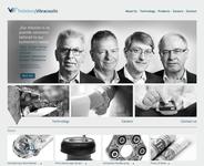 Projektdetails 'http://www.tbvc.com/'