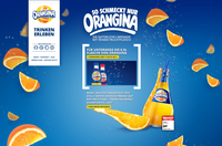 Projektdetails 'www.orangina.de'