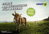 Projektdetails 'http://www.br.de/radio/bayern3/'