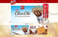 Projektdetails 'http://www.debeukelaer.de '