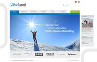Projektdetails 'http://www.bluesummit.de'