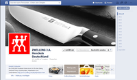 Projektdetails 'https://www.facebook.com/zwilling.deutschland'