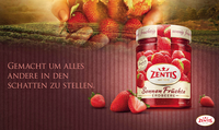 Projektdetails ''