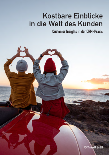 Titel von Vision11-Dossier_CustomerInsights.pdf