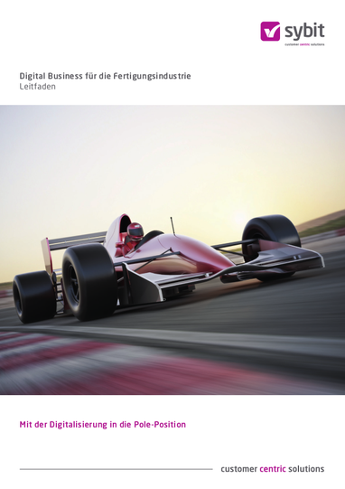 Titel von Digital Business in der Fertigungsindustrie