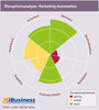 Preview von Disruptionsanalyse - Marketing-Automation