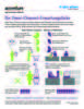 Preview von Omni-Channel Erwartung