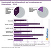 Preview von Umsatzanteil des Onlineverkaufs am Gesamtumsatz der Unternehmen - 2018