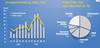 Preview von Umsatzentwicklung Video Ads und Anteil Video Ads nach Branchen 1. Hj. 2013