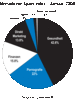 Preview von Online:Internet:Werbung:Spam:Inhalte von versendeten Spammails, Januar 2004