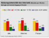Preview von Online:Internet:Demographie:Intensität der Internetnutzung