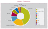 Preview von Online:Internet:Providing:Domains:Verteilung der Top-Level-Domains in Prozent (Stand Zweites Quartal 2005)