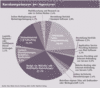 Preview von Business:Dienstleister:Multimedia Service Ranking 2006:Kernkompetenzen der Agenturen