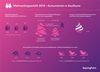 Preview von Weihnachten 2018: Wo und wie Konsumenten einkaufen