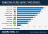 Preview von Twitter-Accounts deutscher MdBs mit den meisten Fake-Followern