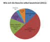 Preview von Wie sich die Branche selbst bezeichnet (2011)