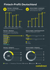 Preview von Fintech-Profil Deutschland 2019
