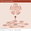 Preview von CRM als Konversionskern