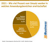 Preview von 2021 - Wie viel Prozent vom Umsatz werden in welchen Anwendungsbereichen erwirtschaftet