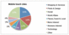 Preview von Art der Nutzung Mobiler Websites