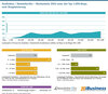 Preview von Sendinblue / Newsletter2Go - Marktanteile 2020 unter den Top-1.000-Shops nach Shopplatzierung