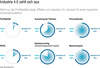 Preview von Industrie 4.0 zahlt sich aus: Effekte bei einem typischen Automobilzulieferer