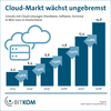 Preview von Wachstum des Umsatzes mit Cloud Computing in den Jahren 2013 bis 2018
