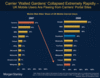 Preview von Morgan Stanley -  Carrier 