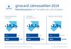 Preview von Girocard - Transaktionen, Umsatz und Terminals 2017 - 2018