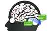 Preview von BrainGate Neurograins