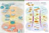 Preview von 2012 vs 2022 - Die Konkurrenzfelder der Interaktivbranche und welche Webgiganten sie umkämpfen, einst und heute