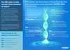 Preview von Infografik zurm Status Quo der digitalen Transformation