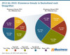 Preview von 2013 bis 2022 - ECommerce-Umsatz in Deutschland nach Shopgren