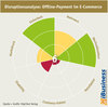 Preview von Disruptionsanalyse - Offline-Payment im E-Commerce