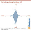 Preview von Marketingnutzung Beratung & IT