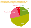 Preview von Ergebnisse der 50 untersuchten Websites im Bereich Überzeugung von BewerberInnen