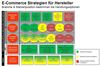Preview von Darstellung des ECommerce-Strategiemodell