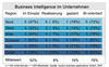 Preview von Business Intelligence in Deutschland - Einsatz nach Regionen