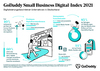 Preview von Infografik - Small Business Digital-Index 2021