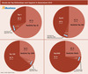 Preview von Umsatz der Top-Onlineshops nach Segment in Deutschland 2010