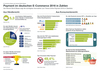 Preview von Infografik - wie deutsche Shops beim Payment vorgehen und wie die Nutzer damit umgehen