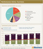 Preview von Marktvolumen Online - Tourismus