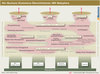 Preview von Die iBusiness ECommerce-Übersichtskarte - IBM Websphere