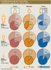 Preview von Leadgenerierung bei deutschen Interaktiv-Agenturen 2012-2013