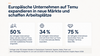 Preview von Ziele von Europäische Unternehmen auf Temu