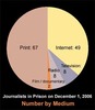 Preview von Online:Internet:Publishing:Inhaftierte Online-Journalisten und andere Journalisten weltweit nach Medium